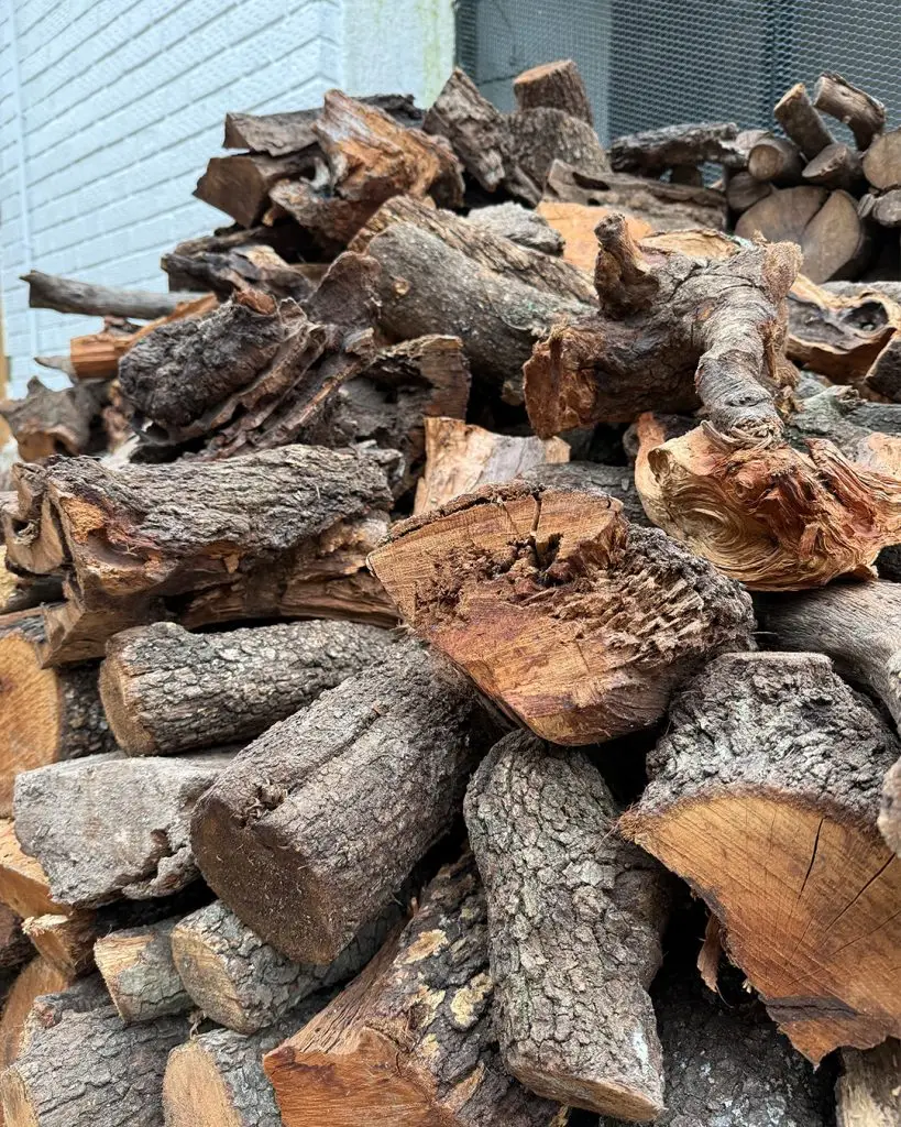 Restaurante-La-Candela-de-Triana-paracuellos (15)