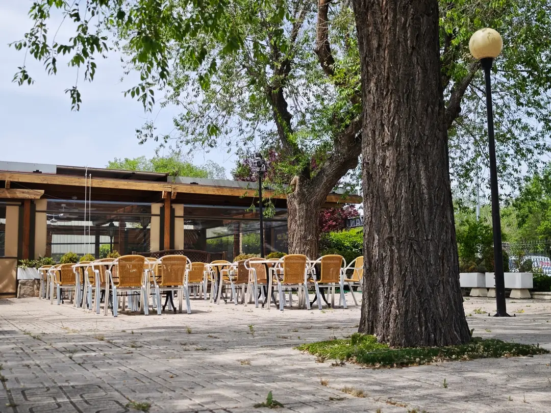 restaurante el canario paracuellos restaurantes para grupos celebraciones (10)